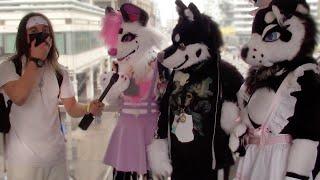 I Went Undercover at a FURRY CONVENTION