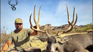 180+ AZ Desert Mule Deer