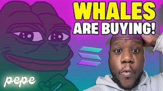 MEGA WHALES ARE BUYING *PEPE* ON SOLANA RIGHT NOW! #pepe