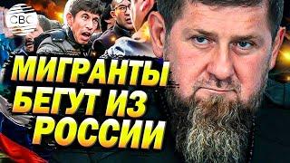 «Ничего хорошего не добьемся!» Кадыров ЖЕСТКО вступился за мигрантов и ответил Бастрыкину