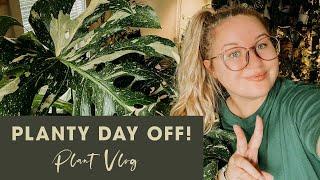 My Planty Day Off! | Big Box Store Shopping, Repotting, Propagations and More!