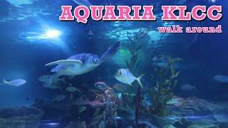 Aquaria KLCC - walkaround - January 2024