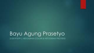 Histogram color & histogram proyeksi