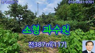 NO.635번. 소형 과수원, 싼 주말농장, 전387㎡(117) 농막있고 전기 상수도 있슴.4천만원