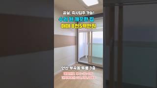 수리된 저렴하고 깨끗한 안산빌라 투룸 매매 #short #shorts #shortvideo #shortsvideoviral2023