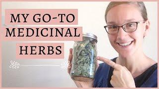 The ONLY 10 Herbs Needed for My Natural Medicine Cabinet | Women Living Torah Challenge