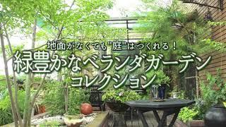 【ｸﾞﾚｲｽｵﾌﾞｶﾞｰﾃﾞﾝ】緑豊かなベランダガーデンコレクション【地面がなくても”庭”はつくれる！】