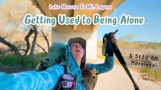 Lake Morena to Mt Laguna - PCT Vlog (Day 2-4)