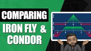 More Profit & Less Risk With An Iron Fly! Money Making Idea!