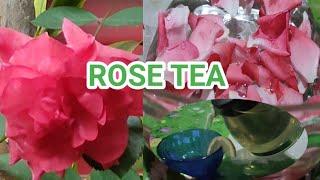 FRESH ROSE TEA FULL PROCESS