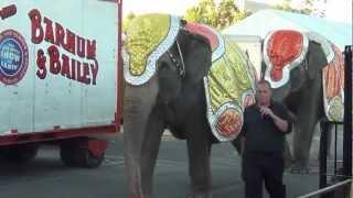 Ringling Bros Circus - Fresno - July 8 2012 - Joey Jr Animal Abuser w/ 2 Elephants