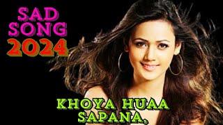 Khoya huaa Sapana | Tranding Sad Mashup 2024 | Love Mashup 2024 | mp3 song 2024 #viral #music #love