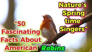 50 fascinating facts about American Robin:natural spring time singers.