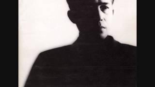 Susumu Hirasawa - Kinsei