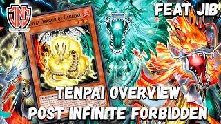 Yugioh Tenpai Overview Post Infinite Forbidden! Meta Contender?! Ft. Team JNC Jib