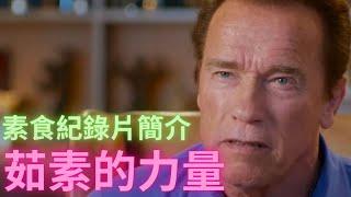 2022.12.16 [素食紀錄片簡介] 茹素的力量 (Vegetarian Documentary Film: The Game Changers)