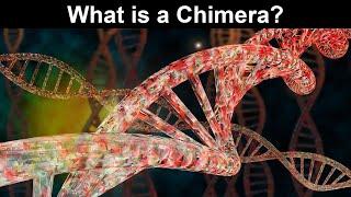 What is a Chimera? What Does Chimera Mean