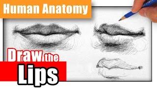 How to Draw the Lips the Easy Way - Different Angles