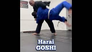 Quick Takedown - Harai Goshi  - Live Roll