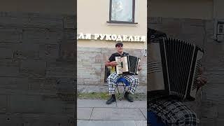 #аккардеон #живая музыка #раскудрявый клен резной #санкт петербург #часть1  #shorts