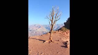 Grand Canyon Hike, Oct  4, 2020