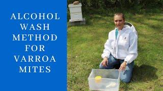 Alcohol Wash To Test For Varroa Mites