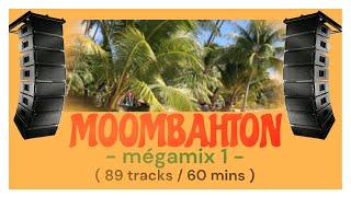 Moombahton Mégamix 1 (89 tracks / 60 mins) 108bpm