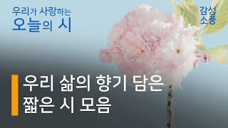 오늘의 시｜우리 삶의 향기 담은 짧은 시 낭송 모음｜좋은글｜좋은시｜유미숙｜오디오북 ｜감성소풍