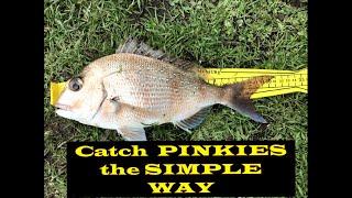 Catch PINKIES the SIMPLE Way