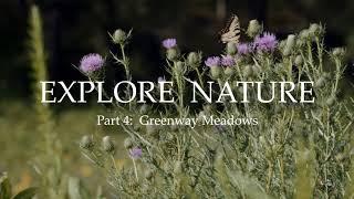 Explore Nature: Greenway Meadows