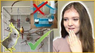 Reacting to My Subscribers’ Bird Cages!