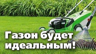 Весенний уход за газоном. Обязательные работы