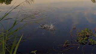 Sunset, Sunrise Fishing With Sub Tied Flies