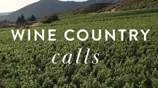 Gibbston Valley: Wine country calls