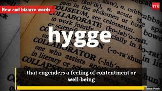 These Catchy Words Were Added New To Oxford Dictionary (English)