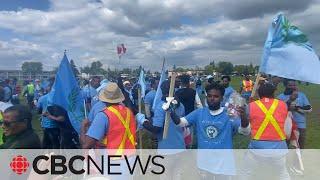 Why Eritreans in Canada are clashing at festivals