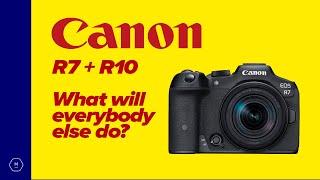 Canon R7 + R10 | Birding Sweet-spot? | Fuji, Nikon, Sony - Response? | Matt Irwin