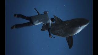 Franklin VS Tiger Shark | Deep sea | CanWeDoIt