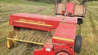 Small Square Hay Bales - August 2020 - Allis Chalmers 180 & NH 316