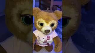 Мишелька#мишелька #мишка #shorts #рекомендации#fyp#follow #michellethebear#furrealfriends
