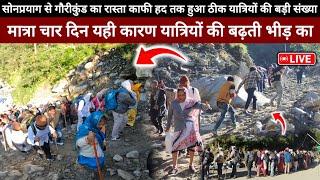 Kedarnath Yatra 2024 || Kedarnath Yatra Live Update Today || Kedarnath Yatra Update || Kedarnath