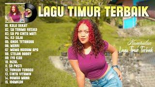 Playlist Lagu Timur Terbaik 2024 Full Album || Lagu Viral TikTok 2024 Enak Didengar Saat Santai