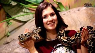 Cango Wildlife Ranch Oudtshoorn South Africa - Africa Travel Channel