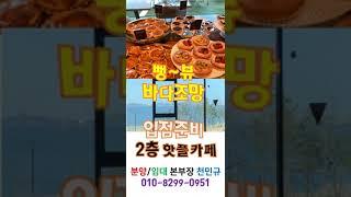 거북섬의 봄,시흥오이도정왕동거북섬위락상가 지뜨프라자_꿈쟁이 천민규 010-8299-0951