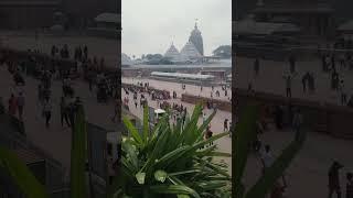 Mo jaga Kalia re #jayjagannath #purijaganathtemple #jaganathtemple 