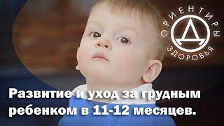 Развитие и уход за грудным ребенком в 11-12 месяцев.