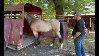 Great example of why less is more with horsemanship! Make our idea their idea!