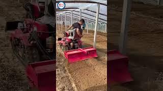 High Cost effective Mini Tractor with Rotary Tiller for Sale