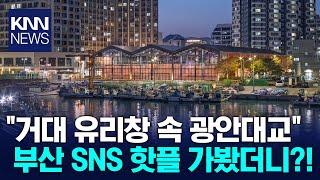 "무더운 여름 시원하게!" 떠오르는 부산 핫플, 어디? / KNN