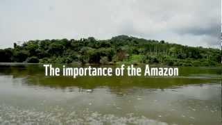 The importance of the Amazon to the world